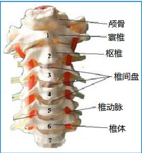 15分钟迅速缓解2.jpg